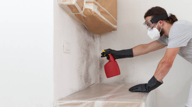 Professional Bathroom Mold Removal technician working in Atlantic Beach, NC